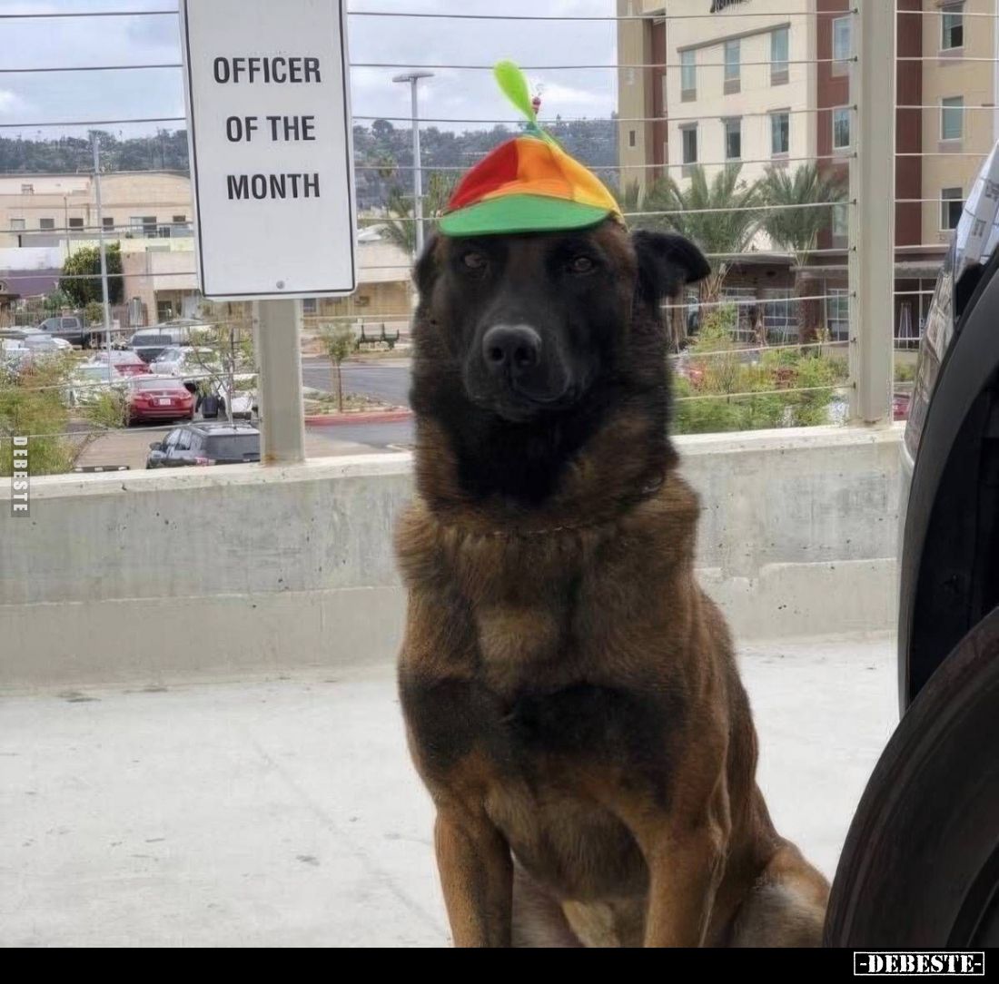  - Lustige Bilder | DEBESTE.de