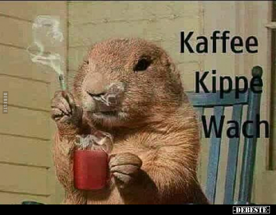 Kaffee Kippe Wach.. - Lustige Bilder | DEBESTE.de