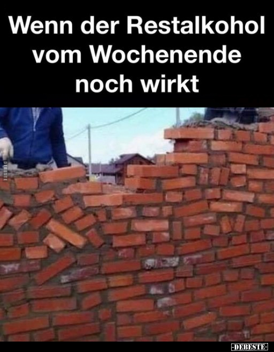 Wenn der Restalkohol vom Wochenende noch wirkt.. - Lustige Bilder | DEBESTE.de