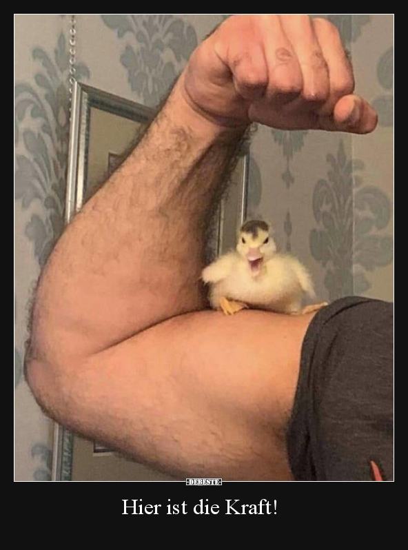 Hier ist die Kraft!..