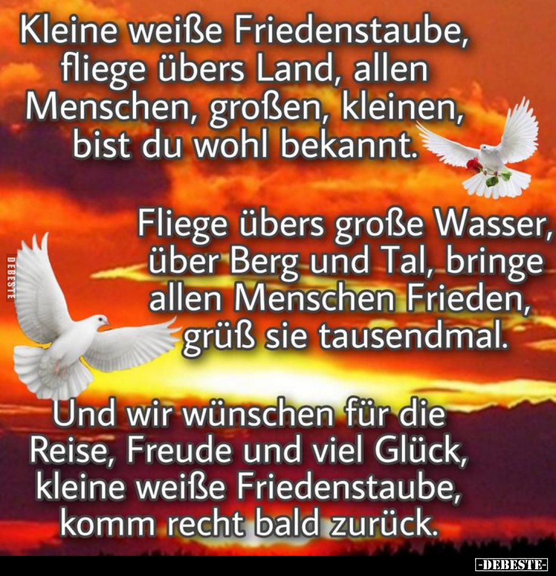 Kleine weiße Friedenstaube, fliege übers Land, allen Menschen, großen, kleinen, bist du wohl bekannt.
Fliege übers große Was...