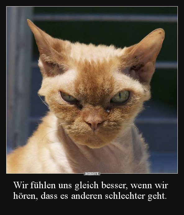 Wir fühlen uns gleich besser, wenn wir hören, dass es..