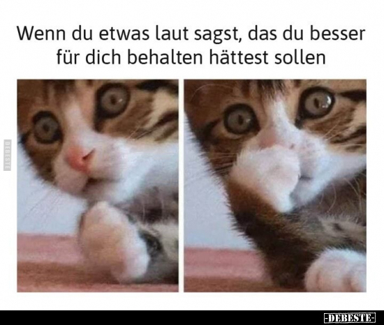 Wenn du etwas laut sagst, das du besser für dich behalten hättest sollen