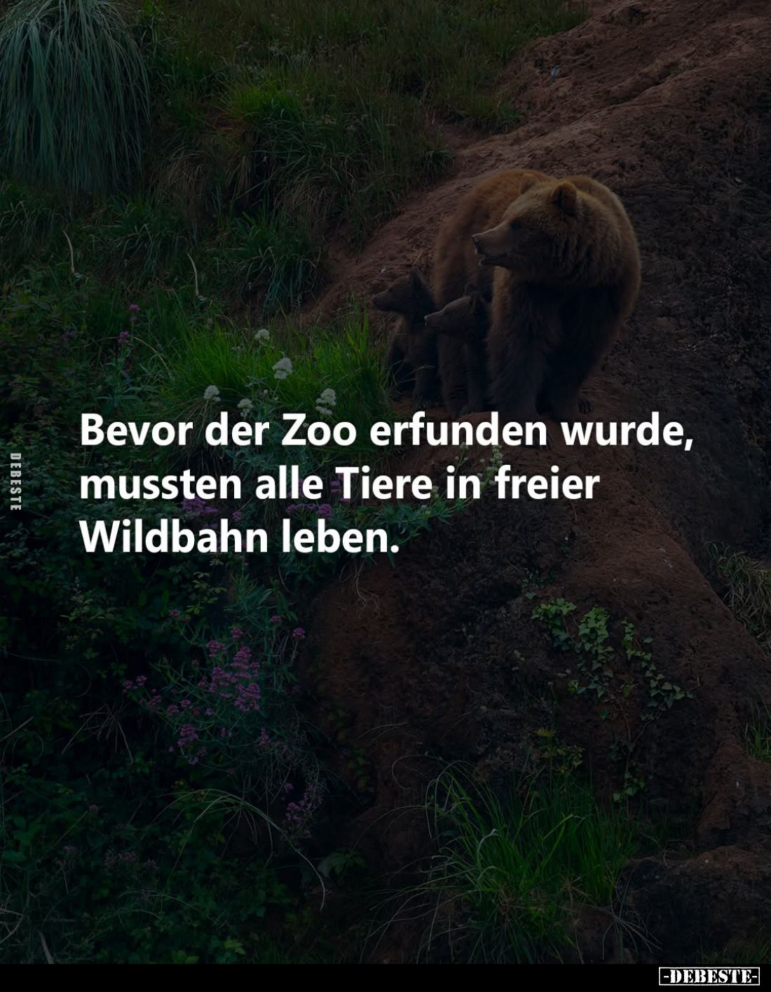 Bevor der Zoo erfunden wurde, mussten alle Tiere in freier Wildbahn leben.