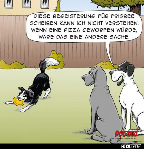 Diese Begeisterung für Frisbee Scheiben.. - Lustige Bilder | DEBESTE.de