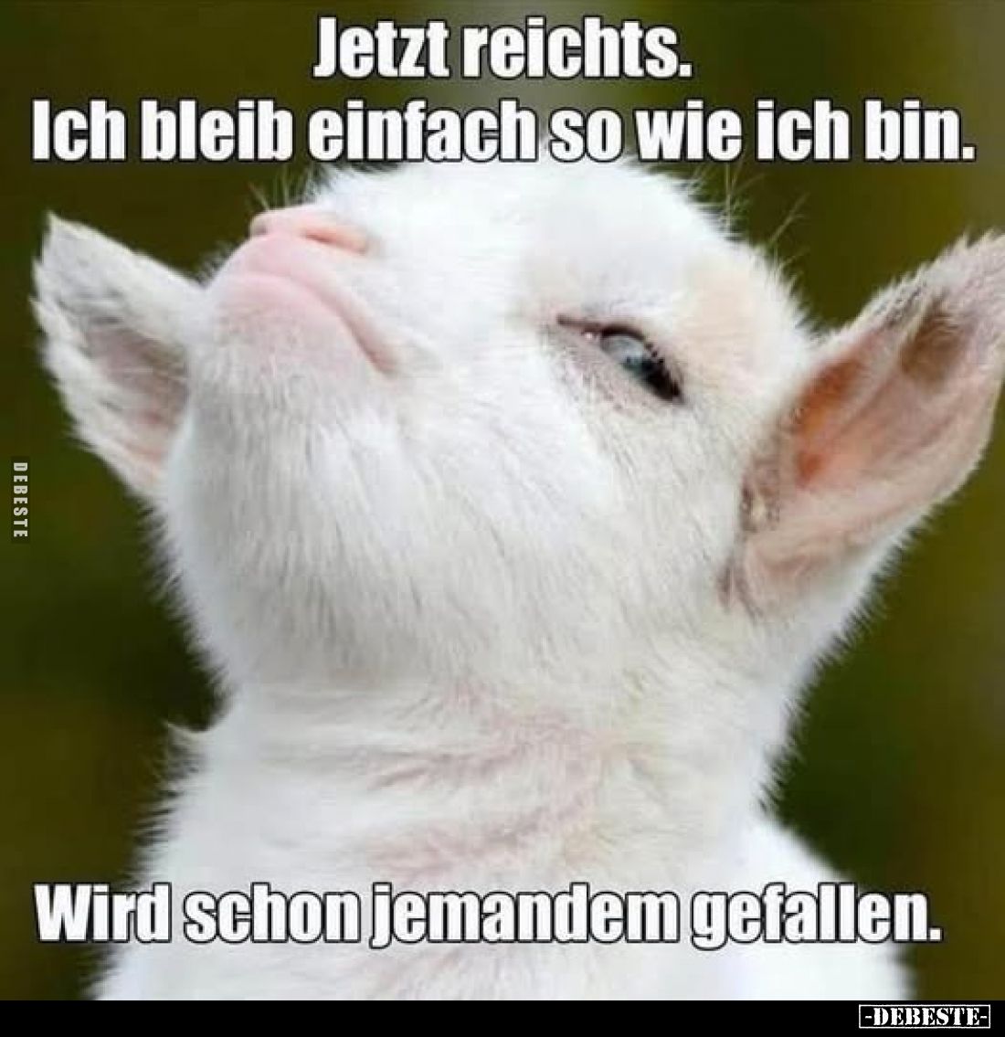 Jetzt reichts.
Ich bleib einfach so wie ich bin.
Wird schon jemandem gefallen.