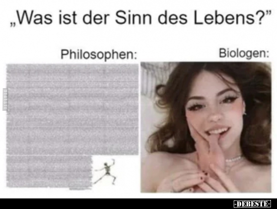 Sinn Des Lebens