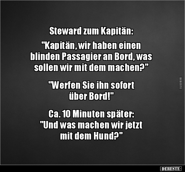 Steward zum Kapitän: "Kapitän, wir haben einen blinden.." - Lustige Bilder | DEBESTE.de