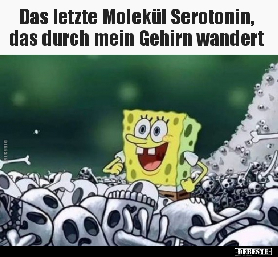 Das letzte Molekül Serotonin, das durch mein Gehirn.. - Lustige Bilder | DEBESTE.de