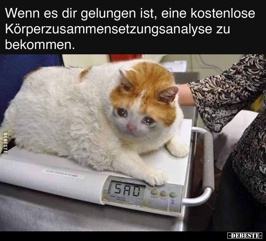 Wenn es dir gelungen ist, eine kostenlose Körperzusammensetzungsanalyse zu bekommen.