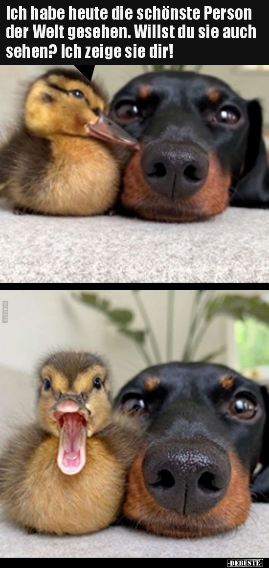 Ich habe heute die schönste Person der Welt gesehen. Willst..