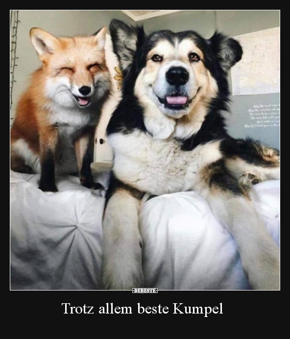 Trotz allem beste Kumpel..