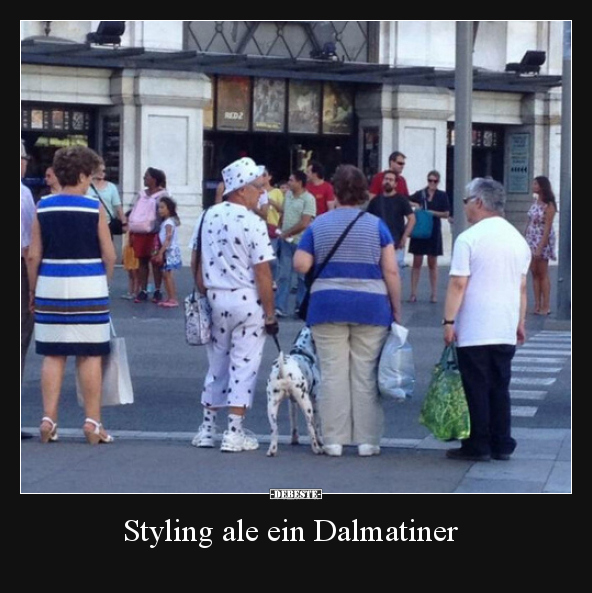 Styling ale ein Dalmatiner.. - Lustige Bilder | DEBESTE.de