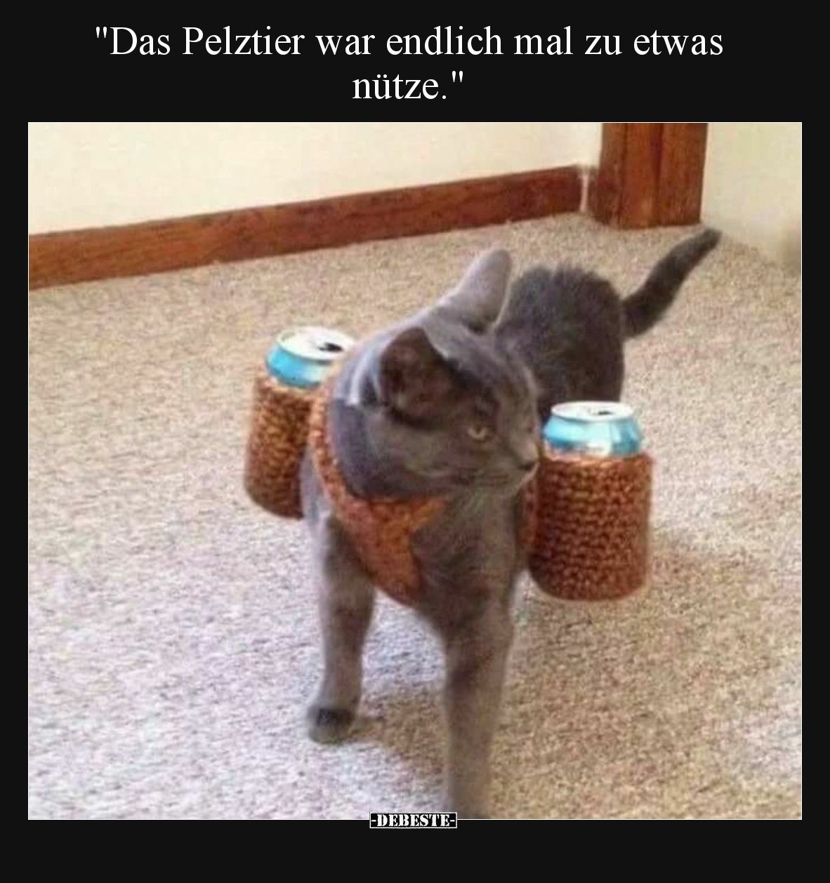 "Das Pelztier war endlich mal zu etwas nütze.".. - Lustige Bilder | DEBESTE.de
