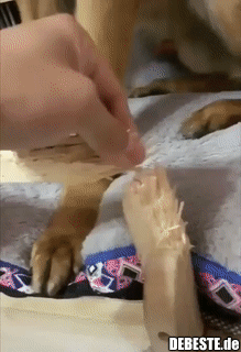 Sieht hier jemand den Verdächtigen?