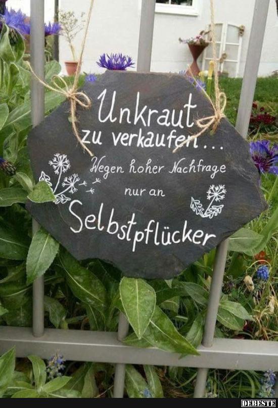 Unkraut zu verkaufen.. - Lustige Bilder | DEBESTE.de