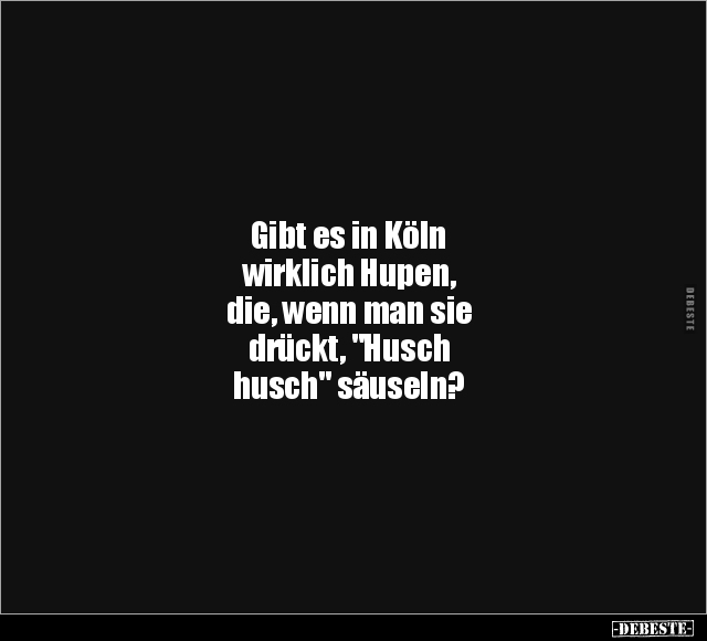 Gibt es in Köln wirklich Hupen.. - Lustige Bilder | DEBESTE.de