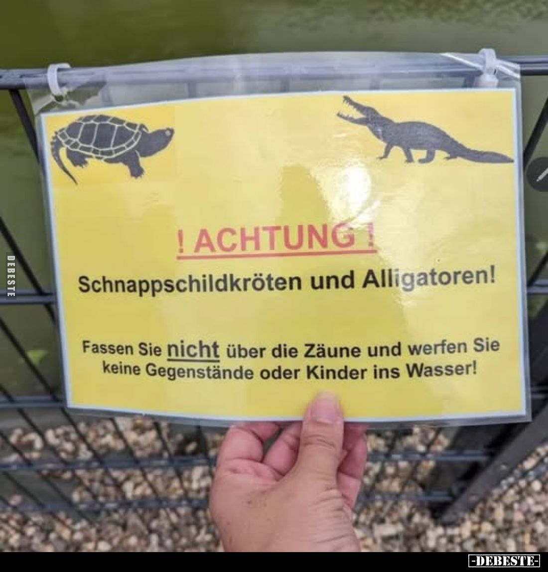 Achtung! 
Schnappschildkröten und Alligatoren! 
Fassen Sie nicht über die Zäune und werfen Sie keine Gegenstände oder Kinde...