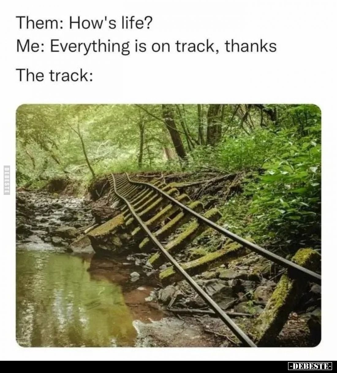 Them: How's life? -
Me: Everything is on track, thanks.