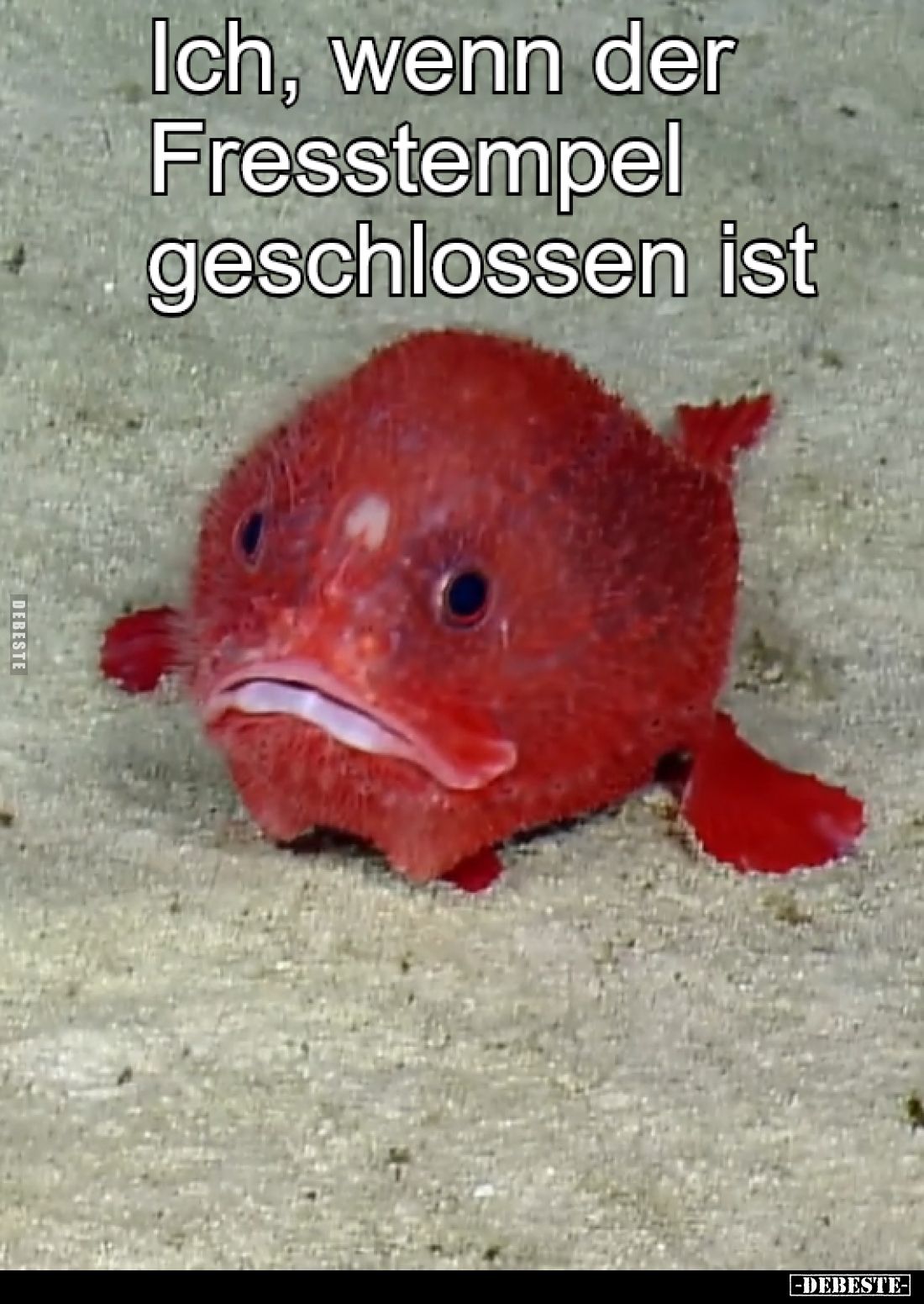 Ich, wenn der Fresstempel geschlossen ist