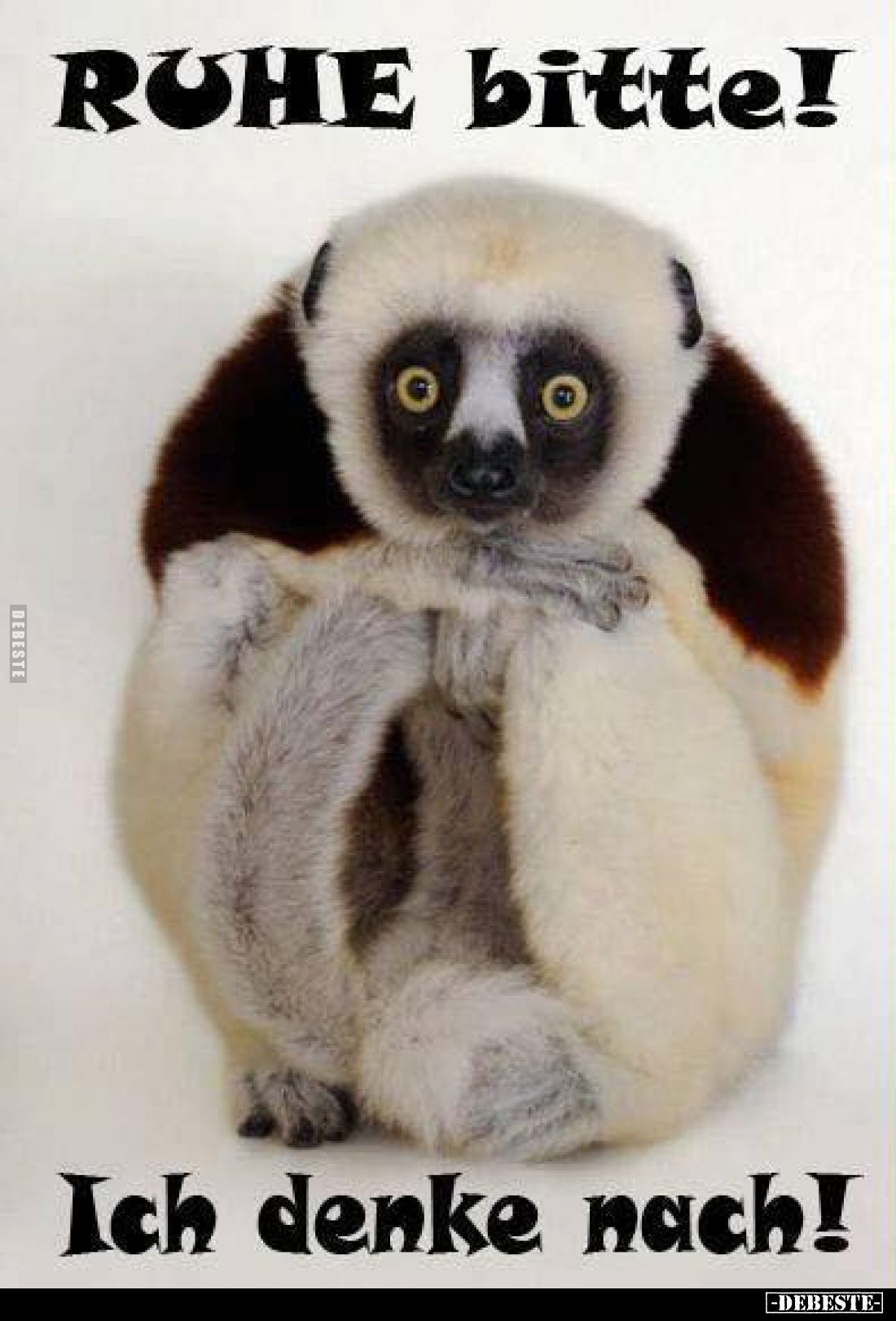 RUHE bitte!
Ich denke nach!