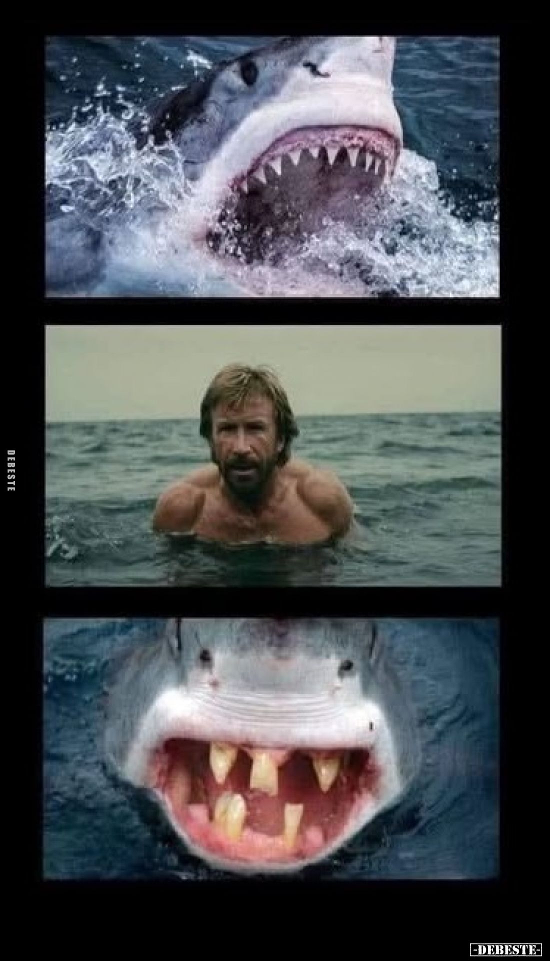  - Lustige Bilder | DEBESTE.de