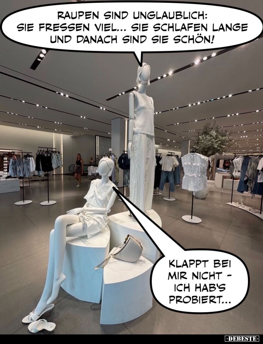 Raupen sind unglaublich: Sie fressen viel... Sie schlafen lange und danach sind sie schön!
- 
Klappt bei mir nicht - ich ha...