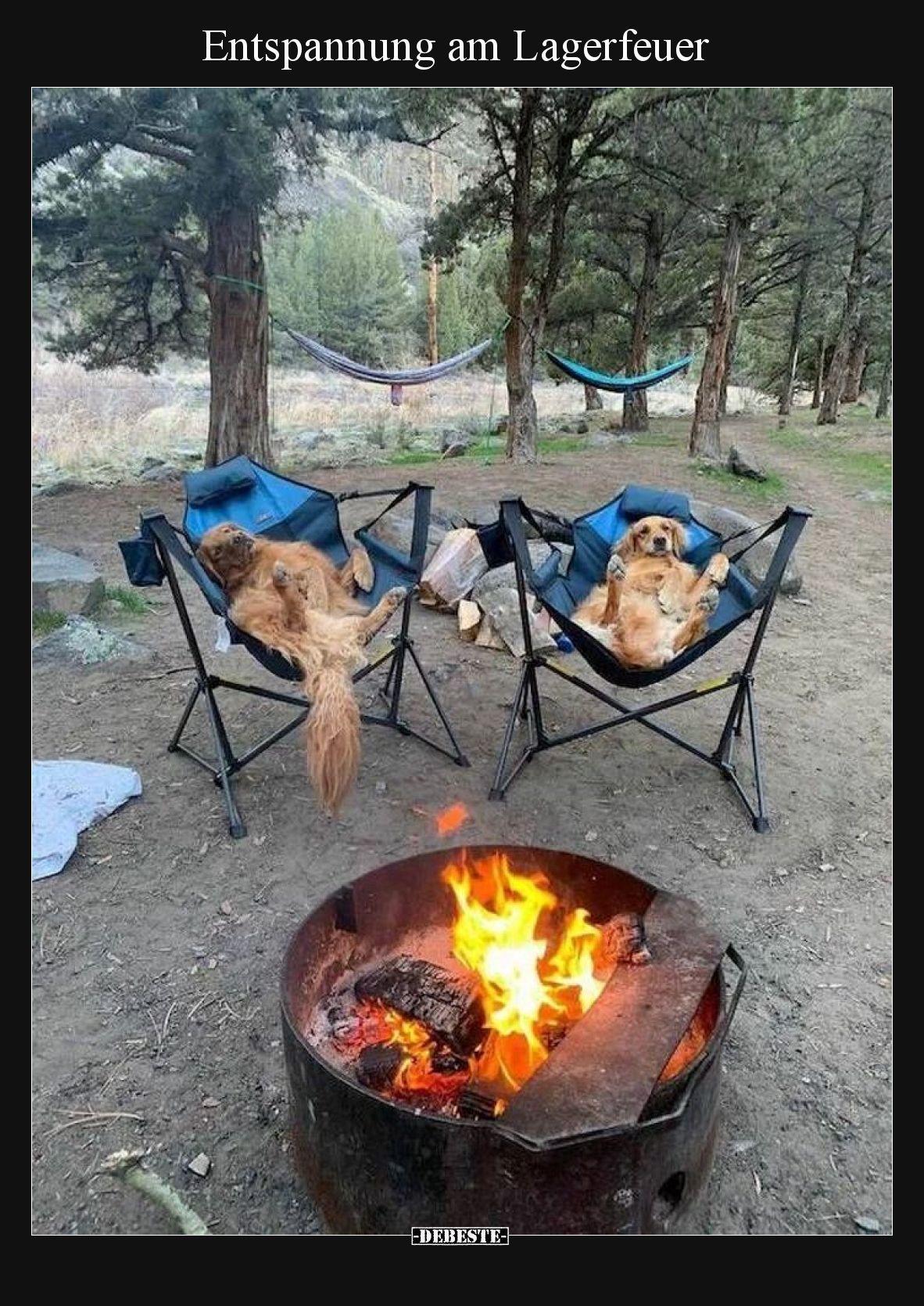 Entspannung am Lagerfeuer.. - Lustige Bilder | DEBESTE.de