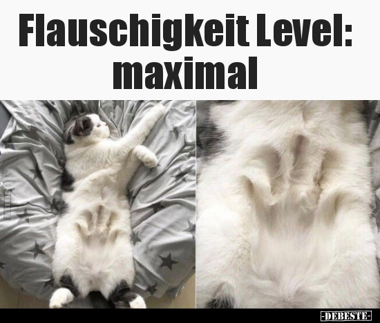 Flauschigkeit Level: maximal.. - Lustige Bilder | DEBESTE.de