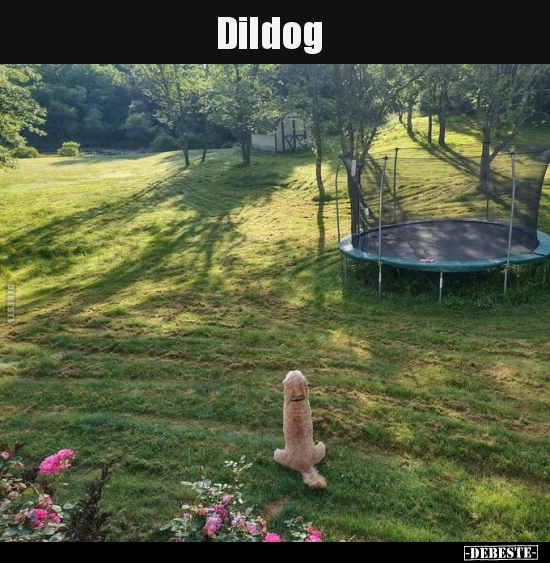 Dildog.. - Lustige Bilder | DEBESTE.de
