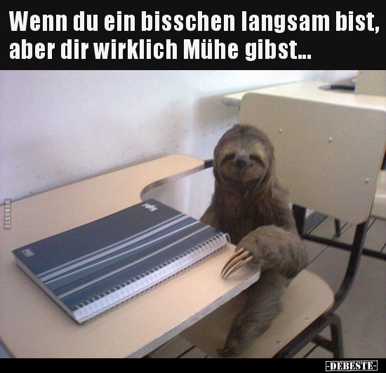 Wenn du ein bisschen langsam bist, aber dir wirklich Mühe gibst...
