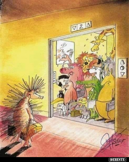  - Lustige Bilder | DEBESTE.de