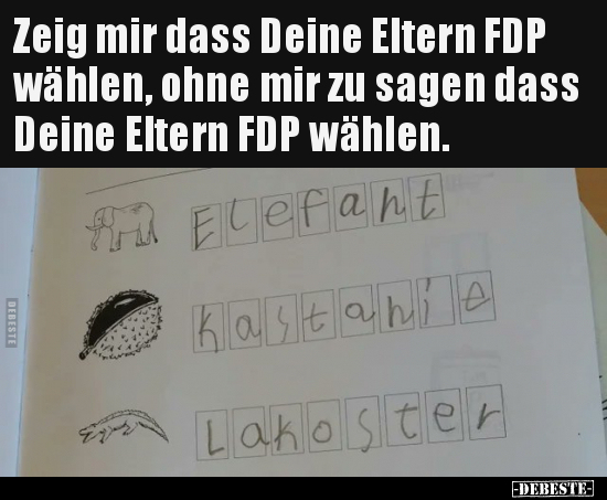 Zeig mir dass Deine Eltern FDP wählen, ohne mir zu sagen.. - Lustige Bilder | DEBESTE.de
