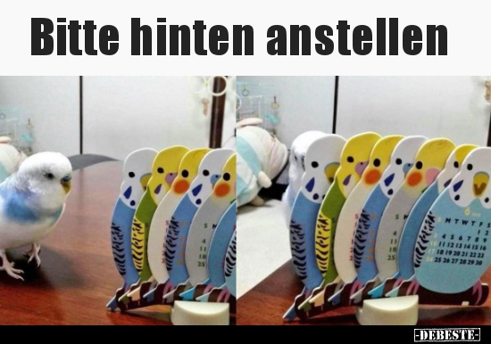 Bitte hinten anstellen.. - Lustige Bilder | DEBESTE.de