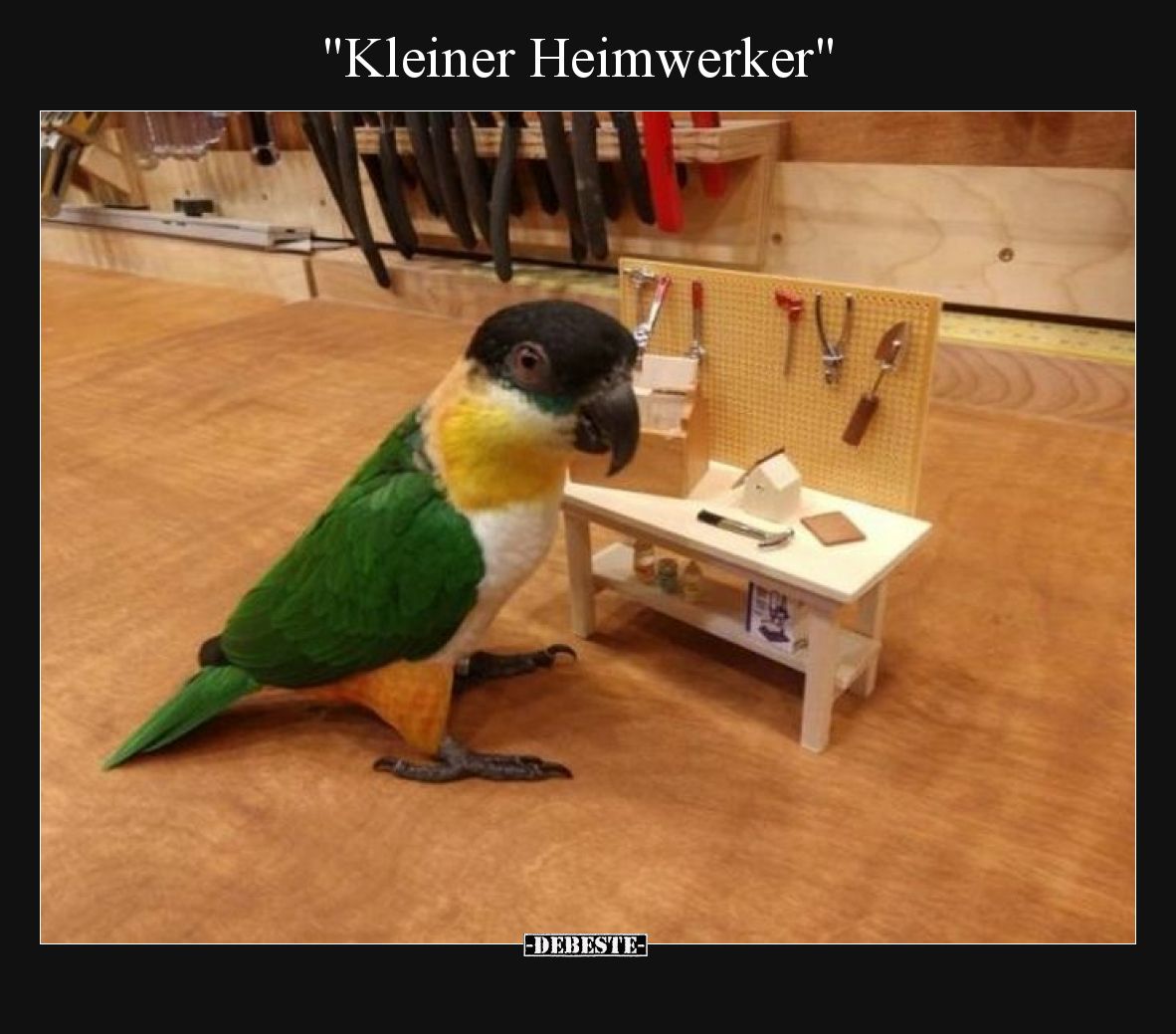 Kleiner Heimwerker