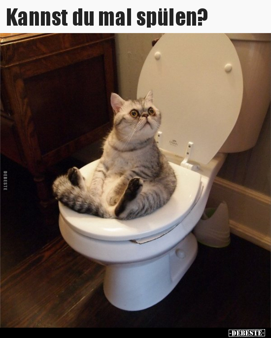 Kannst du mal spülen?..