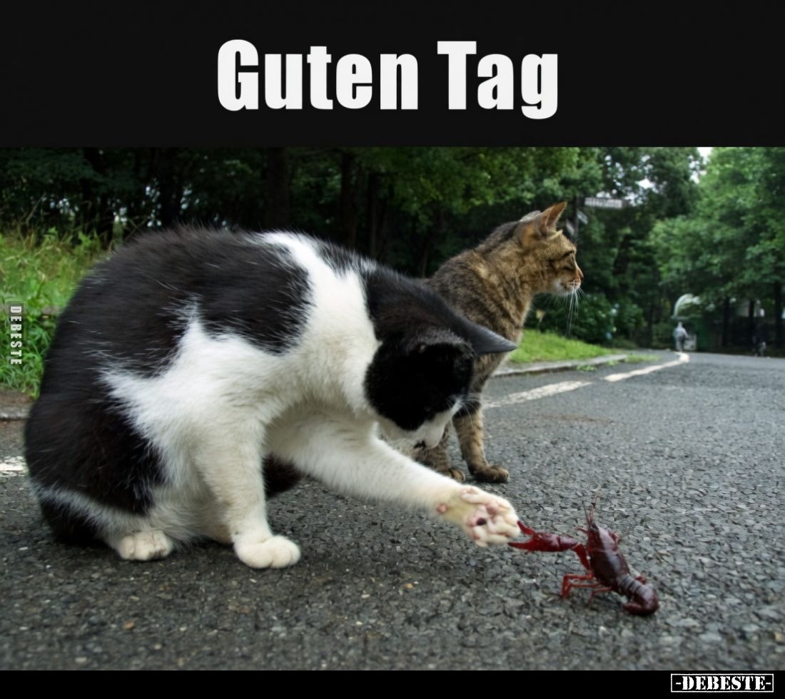 Guten Tag.. - Lustige Bilder | DEBESTE.de