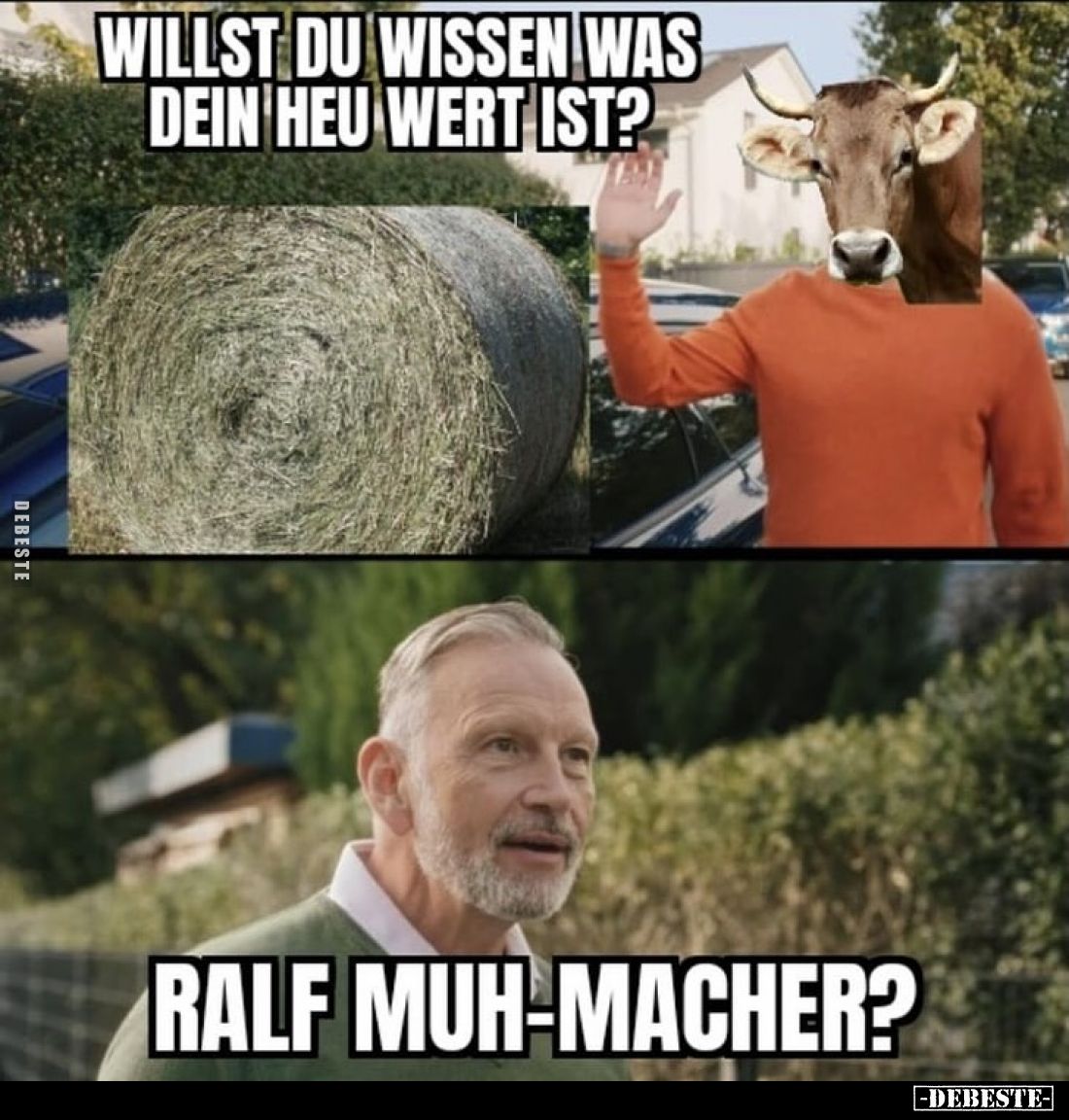 Willst du wissen was dein Heu wert ist? -
Ralf Muh-Macher?