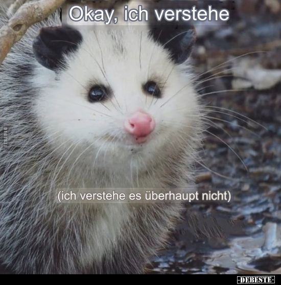 Okay, ich verstehe.. - Lustige Bilder | DEBESTE.de