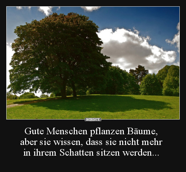 Gute Menschen pflanzen Bäume, aber sie wissen, dass sie.. - Lustige Bilder | DEBESTE.de