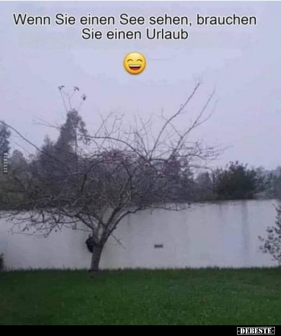 Wenn Sie einen See sehen, brauchen Sie einen Urlaub.. - Lustige Bilder | DEBESTE.de