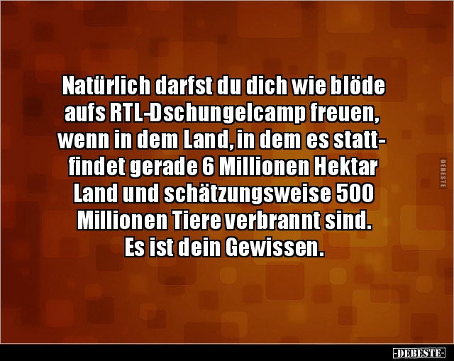 Natürlich darfst du dich wie blöde aufs RTL-Dschungelcamp.. - Lustige Bilder | DEBESTE.de