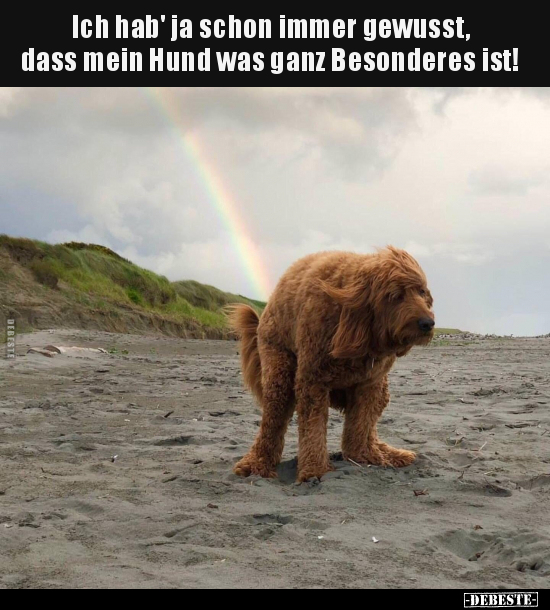 Ich hab' ja schon immer gewusst, dass mein Hund was ganz.. - Lustige Bilder | DEBESTE.de