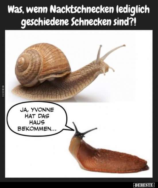 Was, wenn Nacktschnecken lediglich geschiedene Schnecken.. - Lustige Bilder | DEBESTE.de