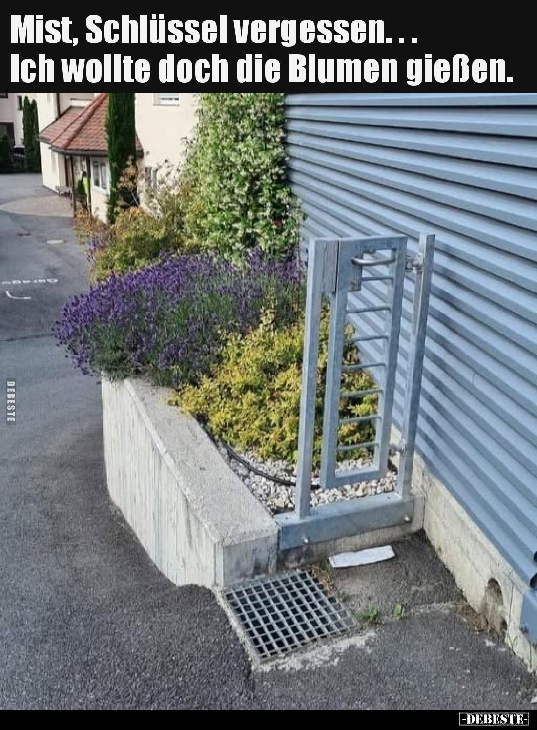 Mist, Schlüssel vergessen... ich wollte doch die Blumen gießen.