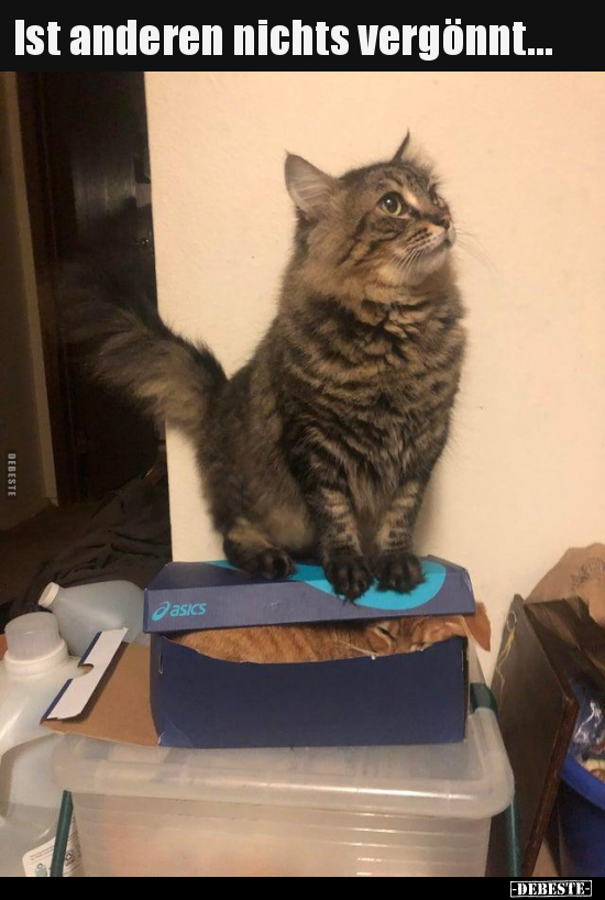 Ist anderen nichts vergönnt...