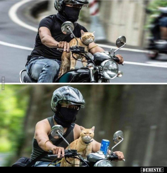  - Lustige Bilder | DEBESTE.de