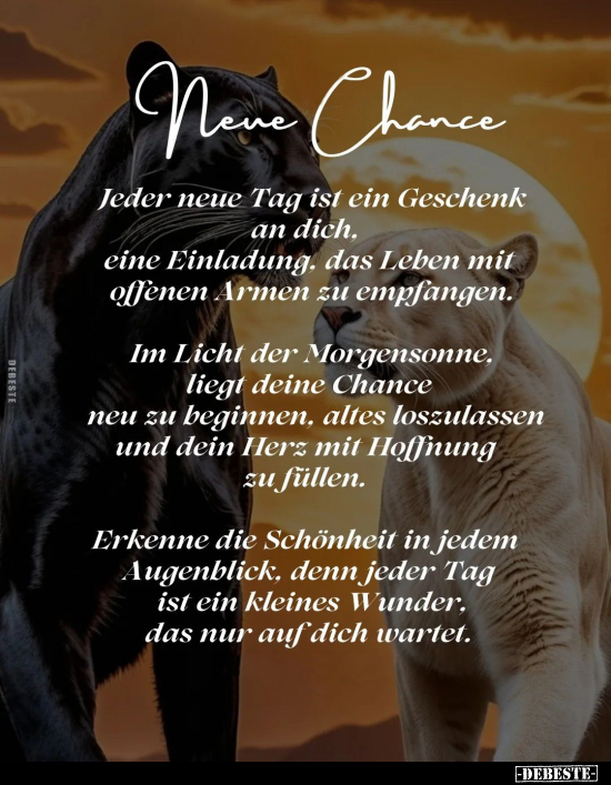 Neue Chance. Jeder neue Tag ist ein Geschenk an dich... - Lustige Bilder | DEBESTE.de