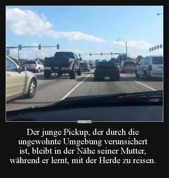 Der junge Pickup, der durch die ungewohnte Umgebung.. - Lustige Bilder | DEBESTE.de