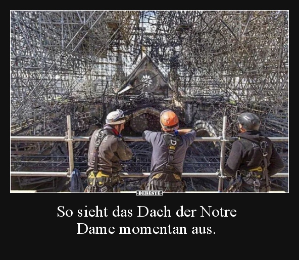 So sieht das Dach der Notre Dame momentan aus... - Lustige Bilder | DEBESTE.de